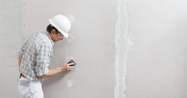 Best Asbestos and Lead Testing During Mold Inspection  in Pine Level, AL