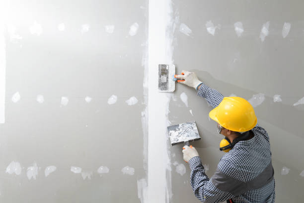 Best HVAC Mold Inspection and Cleaning  in Pine Level, AL