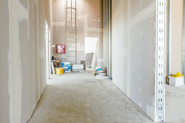 Best Commercial Mold Inspection  in Pine Level, AL