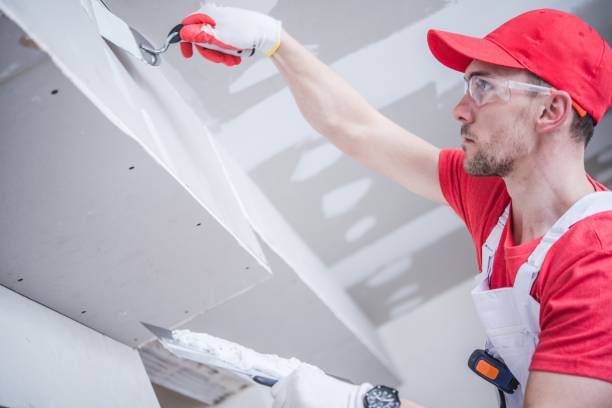 Best Comprehensive Air Testing for Mold Contaminants  in Pine Level, AL